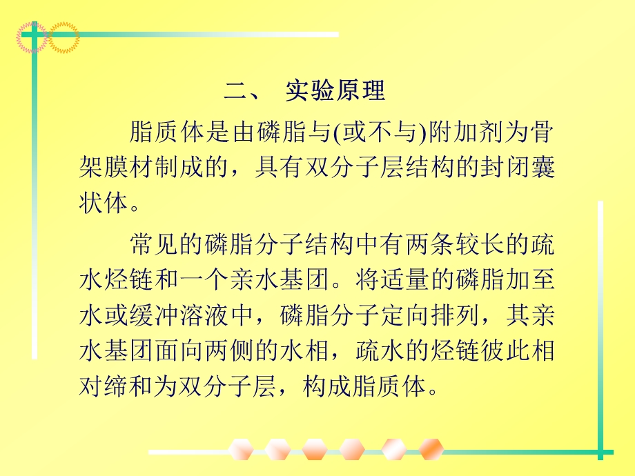 主动载药法制备盐酸小檗碱脂质体课件.ppt_第3页