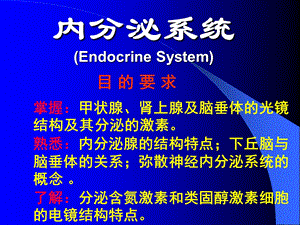 组织胚胎学ppt 内分泌课件.ppt