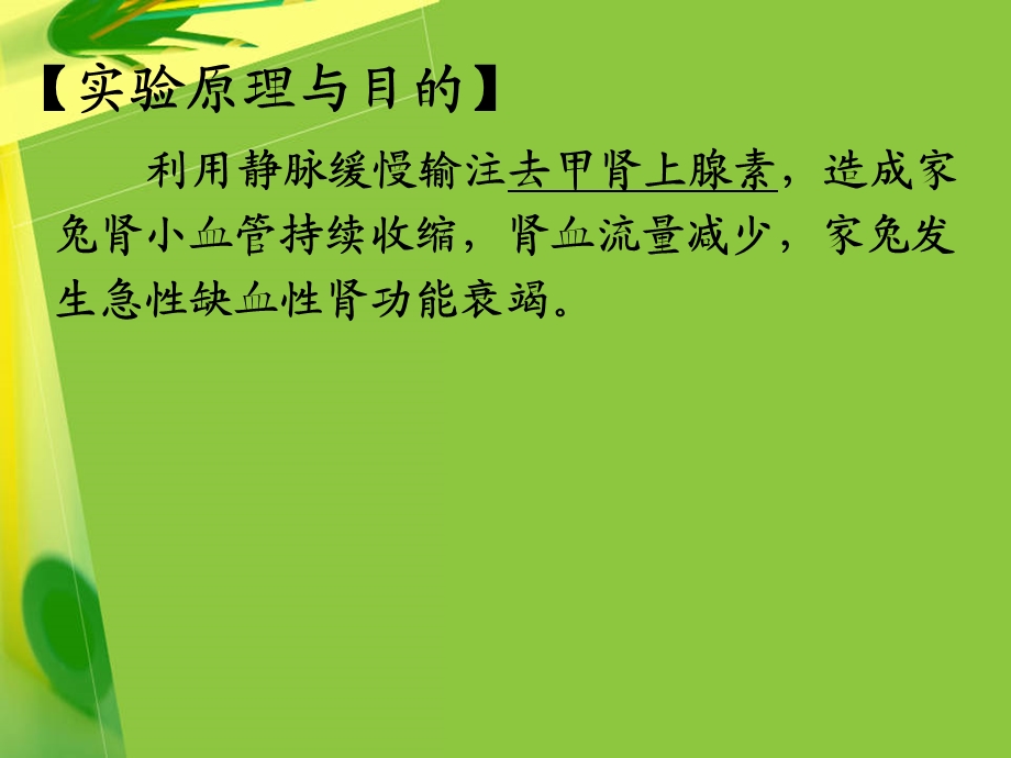 《机能学》ppt课件-尿形成的影响因素和急性肾功能衰竭.ppt_第2页