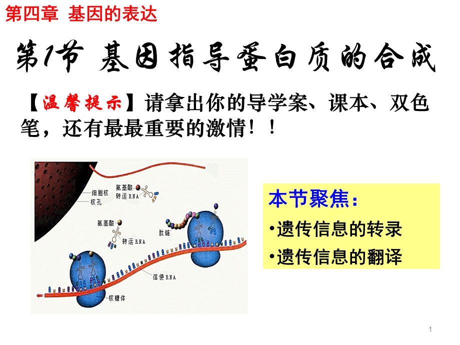 人教版高一生物必修二(ppt课件)4.1基因指导蛋白质的合成.ppt_第1页