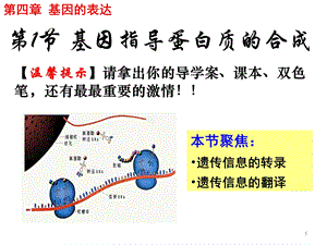 人教版高一生物必修二(ppt课件)4.1基因指导蛋白质的合成.ppt