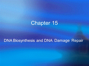 DNA的生物合成和损伤修复DNA Biosynthesis and DNA Damage Repair课件.ppt