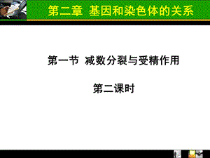 减数分裂和受精作用（第二课时）课件.ppt