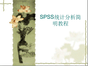 SPSS统计分析简明教程课件.ppt