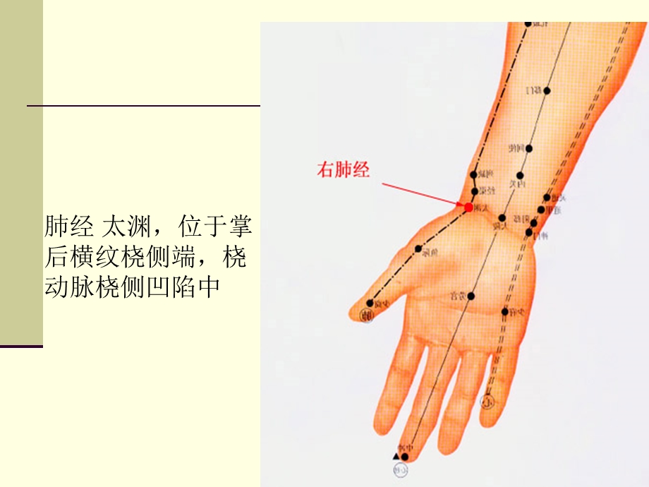 人体经络细图课件.ppt_第2页