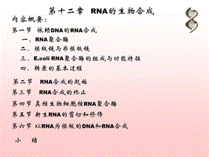 RNA合成2005.6 生物化学　教学ppt课件.ppt