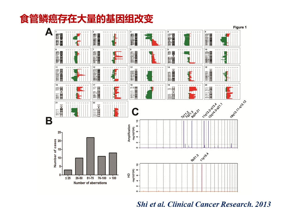 分子靶向抗肿瘤药物课件.ppt_第3页