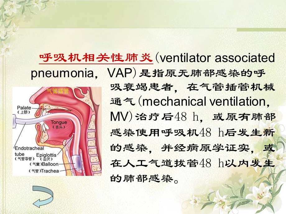 ICU李香飞呼吸机相关性肺炎的预防及护理课件.ppt_第3页