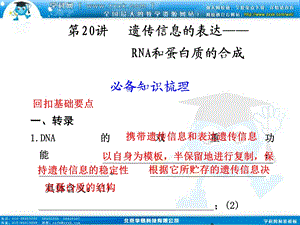 2011高三生物一轮复习ppt课件：第20讲___遗传信息的表达—RNA和蛋白质的合成.ppt