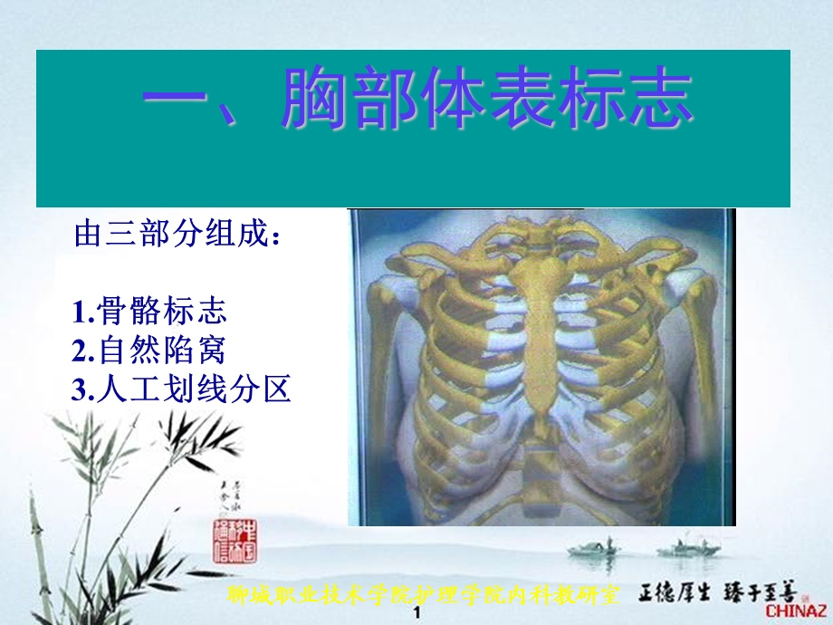 (健康评估ppt课件)13胸肺评估.ppt_第3页