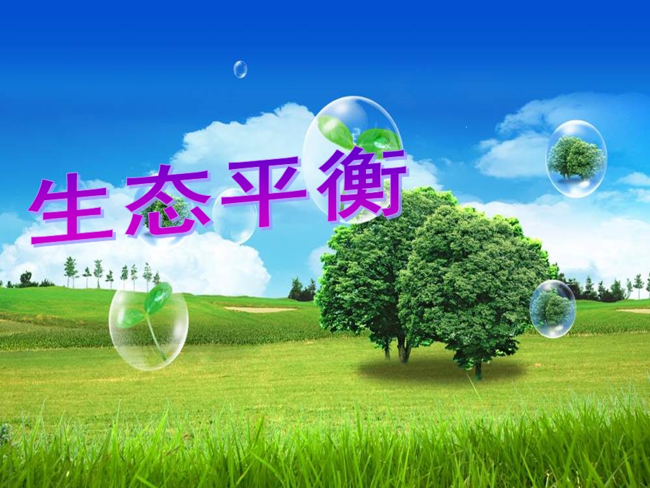 维护生态平衡课件讲解.ppt_第1页