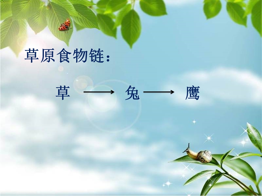 维护生态平衡课件讲解.ppt_第3页