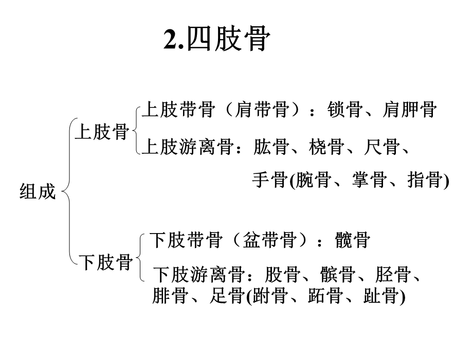 体育保健学 各系统结构与功能课件.ppt_第1页