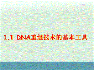 《DNA重组技术的基本工具》ppt课件一（人教版选修3）.ppt