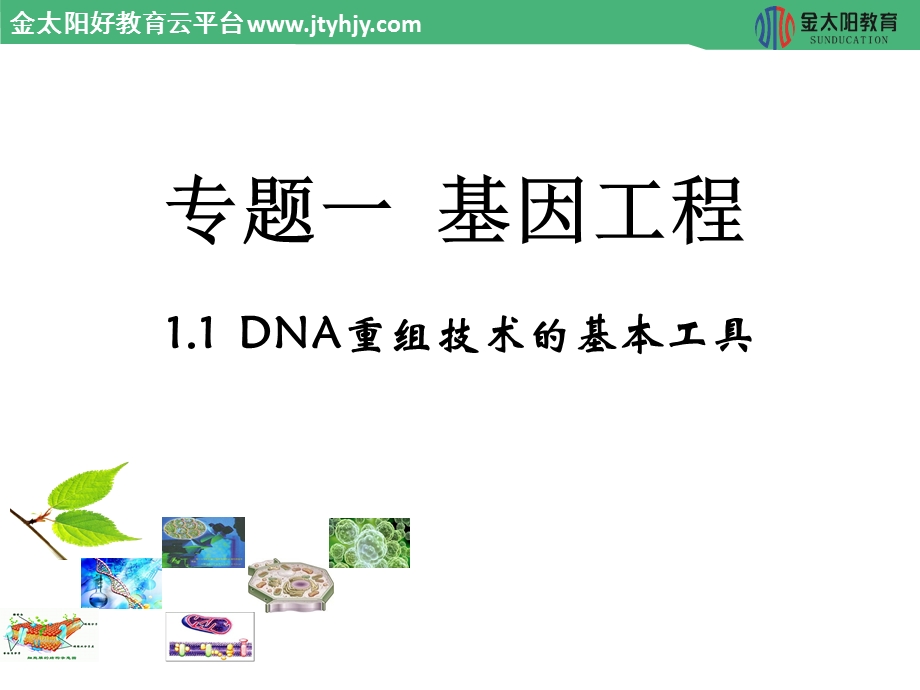 2015-2016学年 《DNA重组技术的基本工具》ppt课件.ppt_第1页