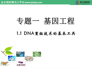 2015-2016学年 《DNA重组技术的基本工具》ppt课件.ppt