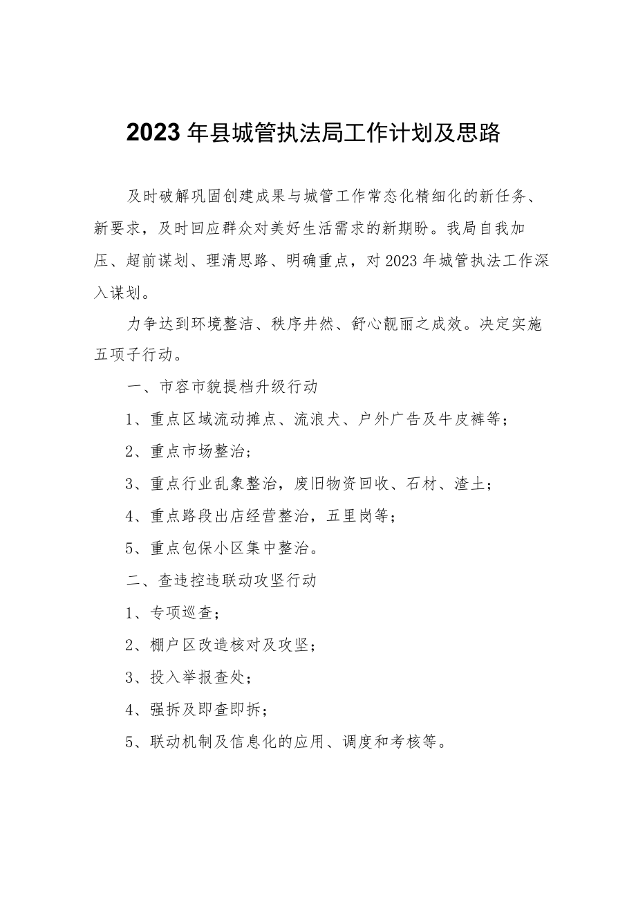 2023年县城管执法局工作计划及思路.docx_第1页