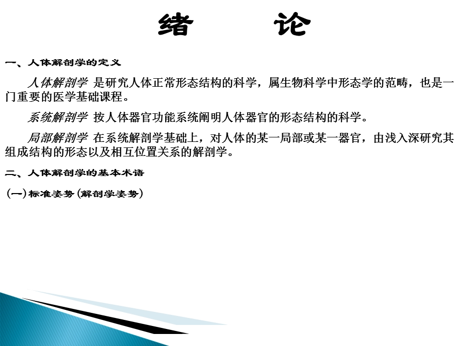 第三篇 运动系统课件.ppt_第2页