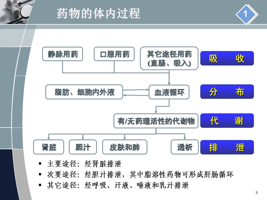 肾功能不全患者的合理用药讲 课件.ppt_第3页