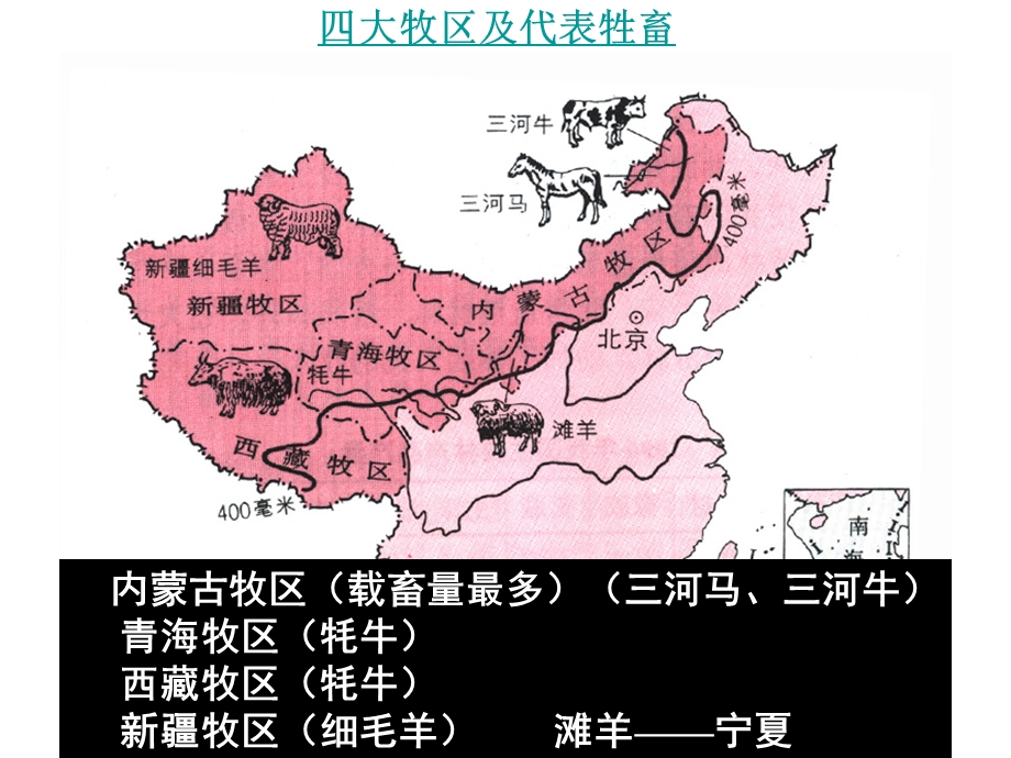 四大牧区及代表牲畜课件.ppt_第3页