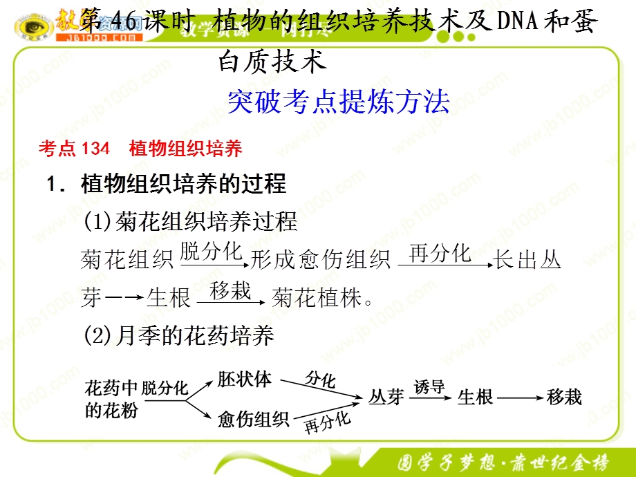 2012届高三生物一轮复习精品ppt课件：第十一单元 第46课时 植物的组织培养技术及DNA和蛋白质技术（新人教版）.ppt_第1页