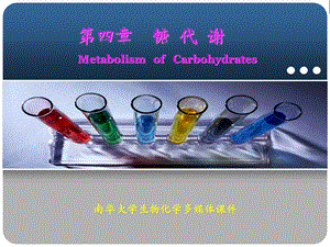 生物化学第4章糖代谢课件.ppt