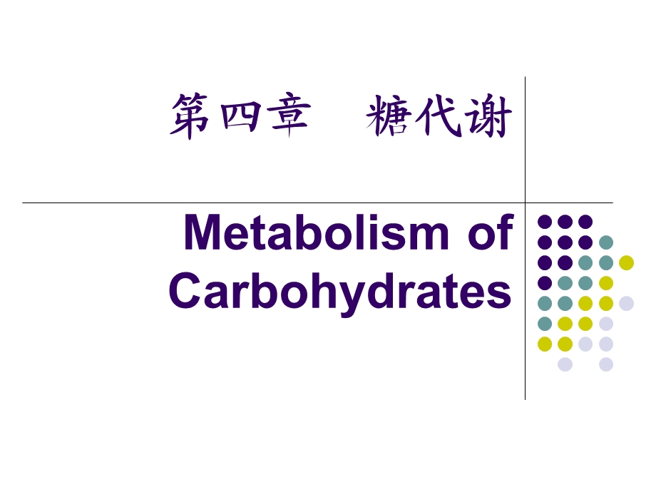 《生物化学精品ppt课件》04糖代谢.ppt_第1页