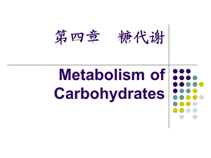 《生物化学精品ppt课件》04糖代谢.ppt