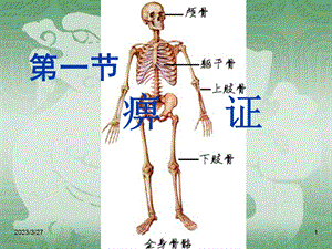 中医内科学--第一节痹证ppt课件.ppt