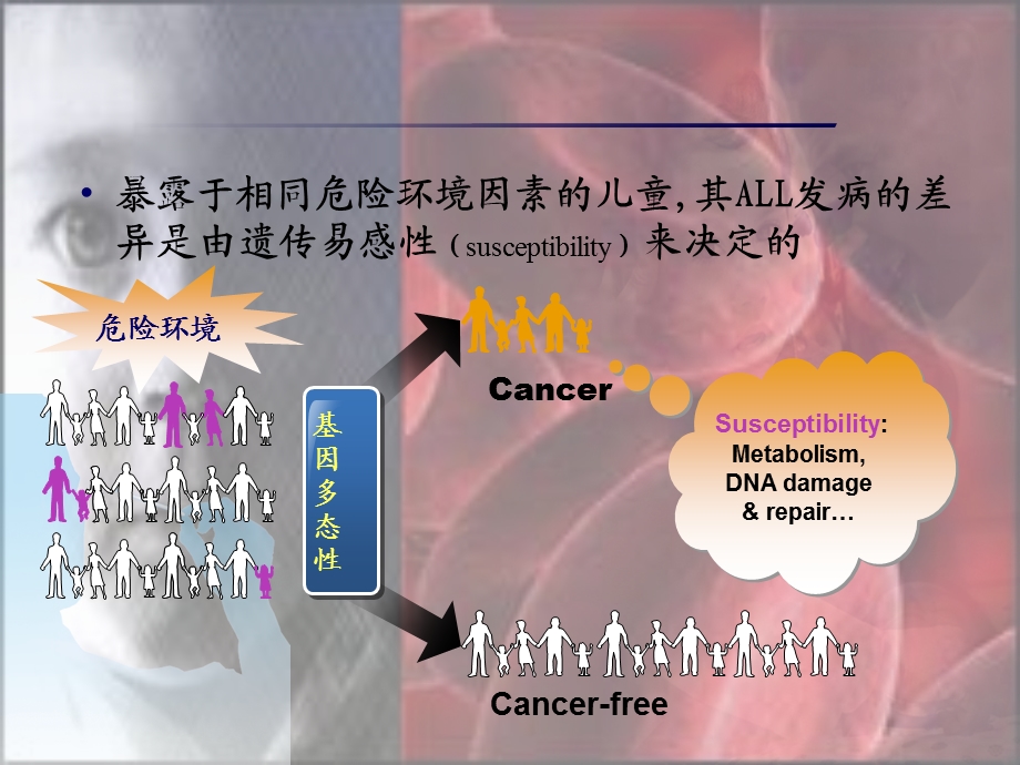 还原叶酸载体基因多态性与儿童ALL易感性的关系研究ppt课件.ppt_第3页