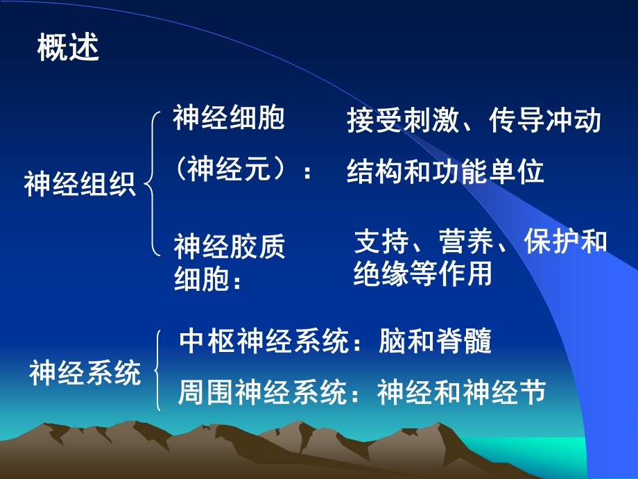 神经组织-组织胚胎学课件.ppt_第2页