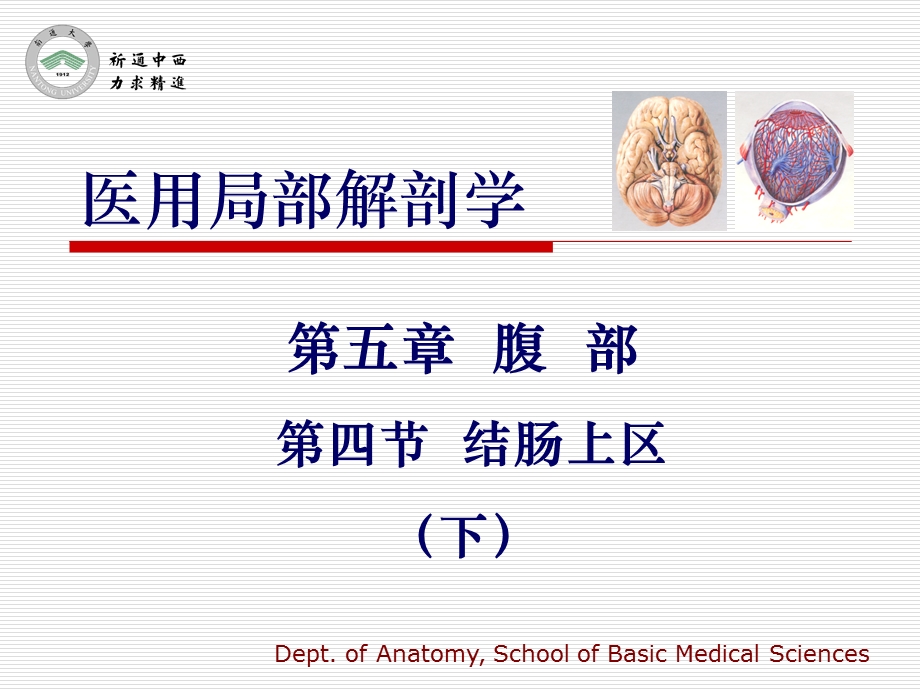 《医用局部解剖学第五章腹部第四节结肠上区》精品ppt课件下.ppt_第1页