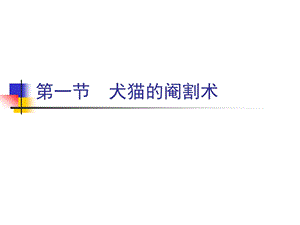 兽医外科学与手术学第十六章 泌尿生殖系统疾病与手术课件.ppt