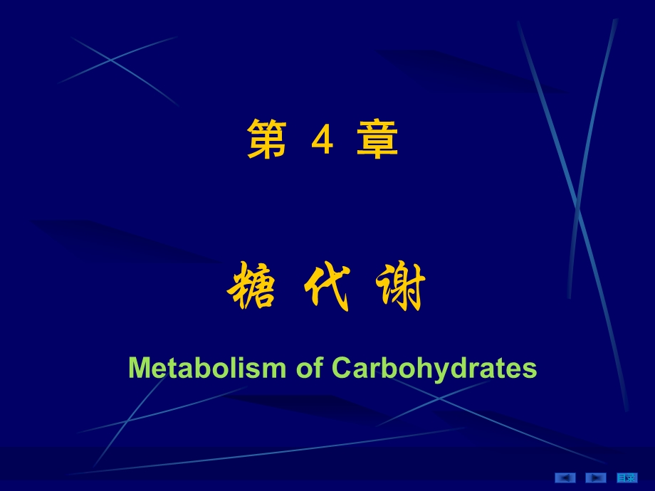 第04章糖代谢（09医本）课件.ppt_第1页