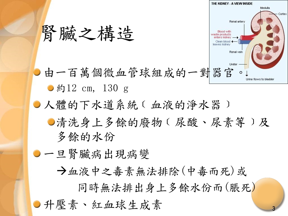 肾脏病之防治-课件.ppt_第3页