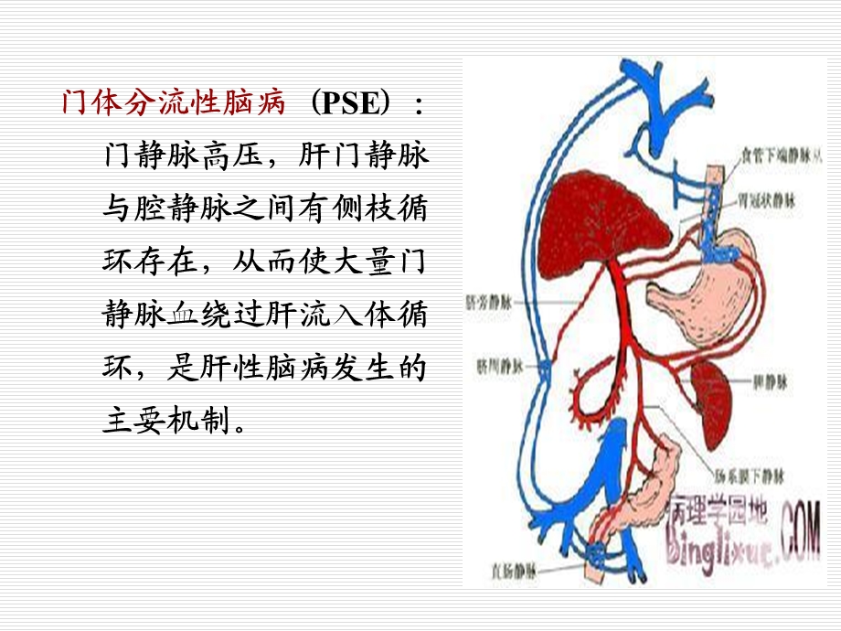 内科护理学ppt课件-肝性脑病.ppt_第3页