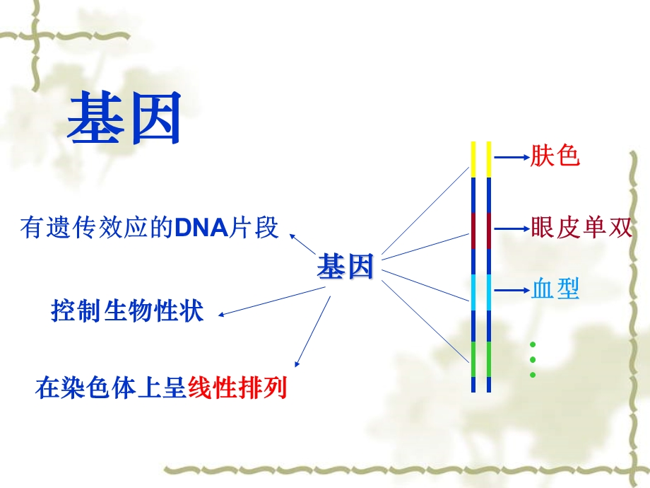 人教版生物必修二第1节《基因指导蛋白质的合成》课件.ppt_第3页