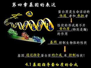人教版生物必修二第1节《基因指导蛋白质的合成》课件.ppt