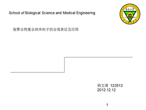 脂聚合物混杂纳米粒子的分化表征及应用课件.ppt