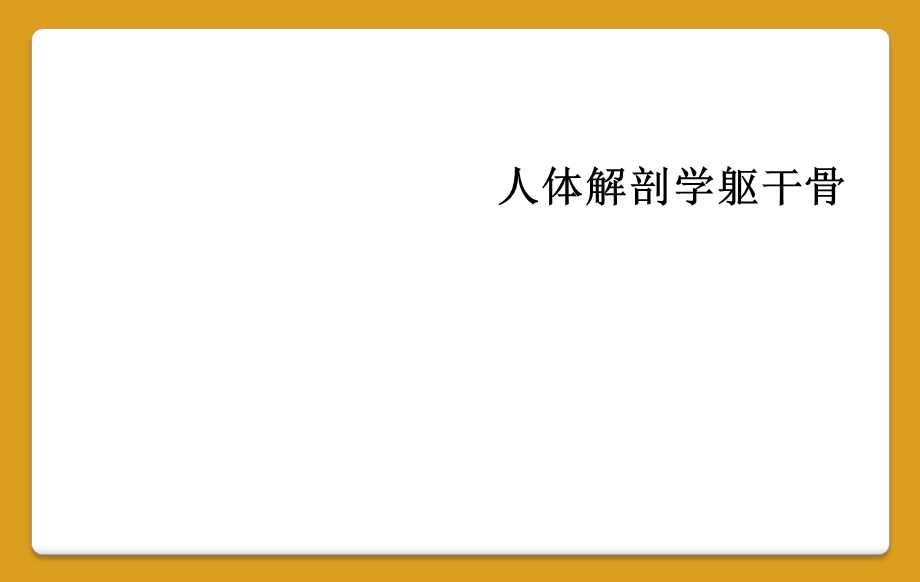 人体解剖学躯干骨课件.ppt_第1页