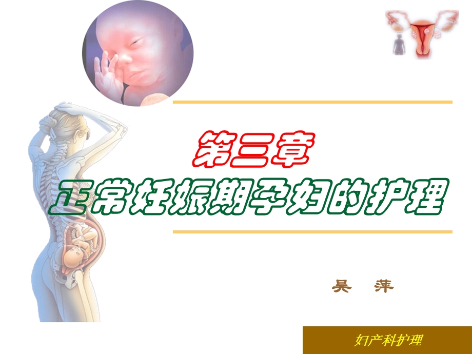 妇产科护理第三章正常妊娠期孕妇课件.ppt_第1页