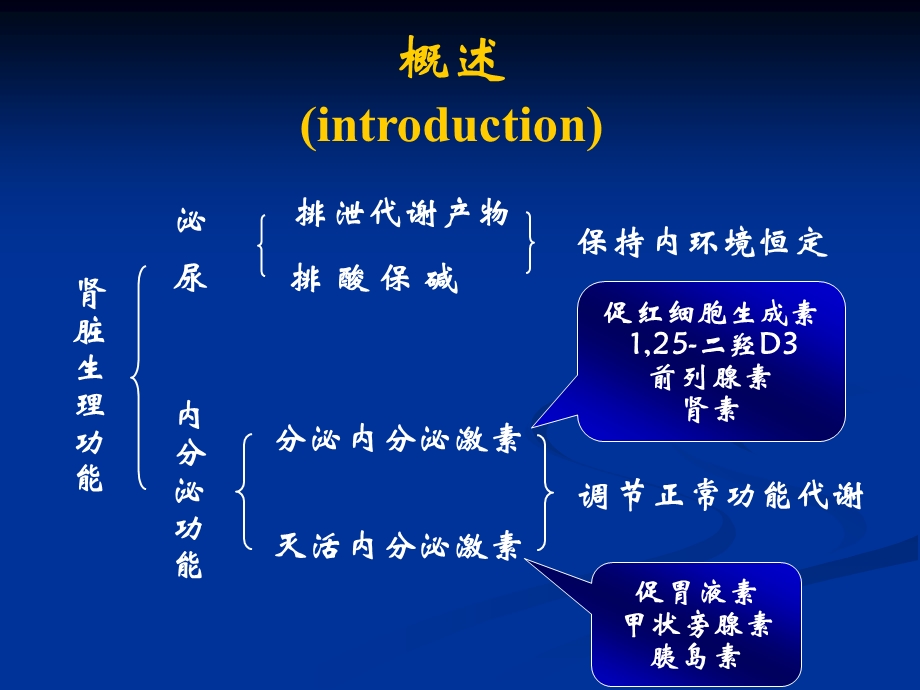 肾功能不全.病理生理ppt课件.ppt_第2页