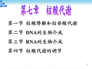 核酸代谢ppt课件.ppt