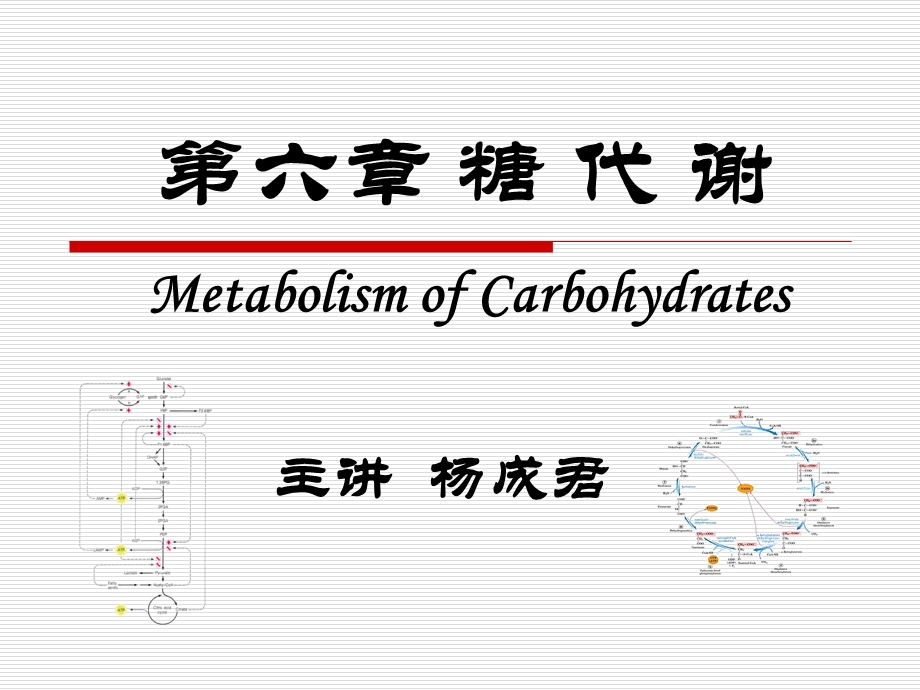 七科联考生物化学8第六章 糖代谢2014课件.pptx_第2页