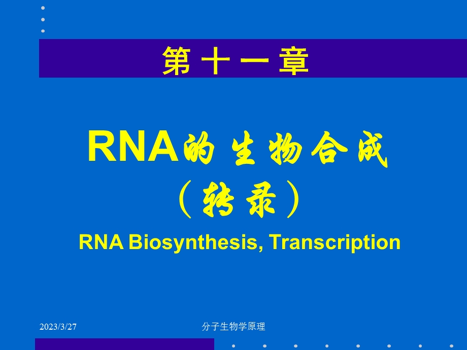 分子生物学原理--RNA的生物合成课件.ppt_第1页