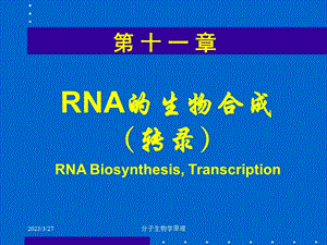 分子生物学原理--RNA的生物合成课件.ppt