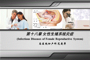 第十八章 女性生殖系统炎症课件.ppt