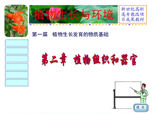 植物组织和器官课件.ppt