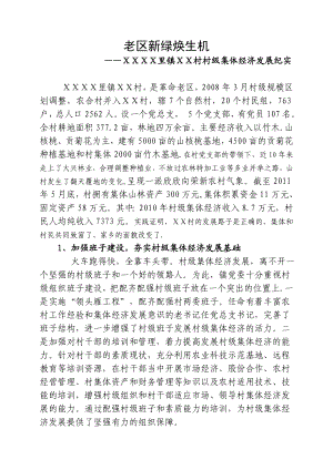 村级集体经济典型材料.doc