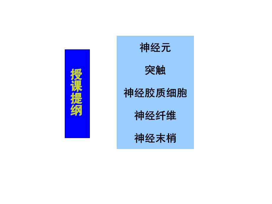 课件-基本组织：神经组织.ppt_第2页